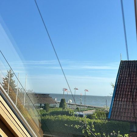Bangomusa Nida Kültér fotó